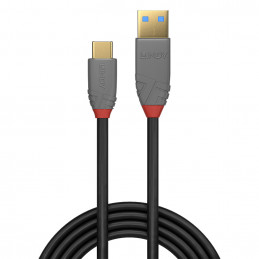 Lindy 36911 USB-kaapeli 1 m USB C USB A Musta, Harmaa