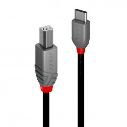 Lindy 36941 USB-kaapeli 1 m USB 2.0 USB C USB B Musta