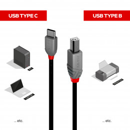 Lindy 36941 USB-kaapeli 1 m USB 2.0 USB C USB B Musta