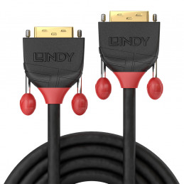 Lindy 36260 DVI-kaapeli 1 m DVI-I Musta, Punainen