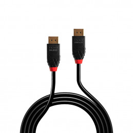 Lindy 41167 DisplayPort-kaapeli 5 m Musta
