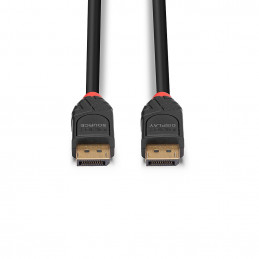 Lindy 41167 DisplayPort-kaapeli 5 m Musta
