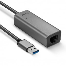 Lindy 43313 kaapelin sukupuolenvaihtaja USB-A RJ-45 Hopea