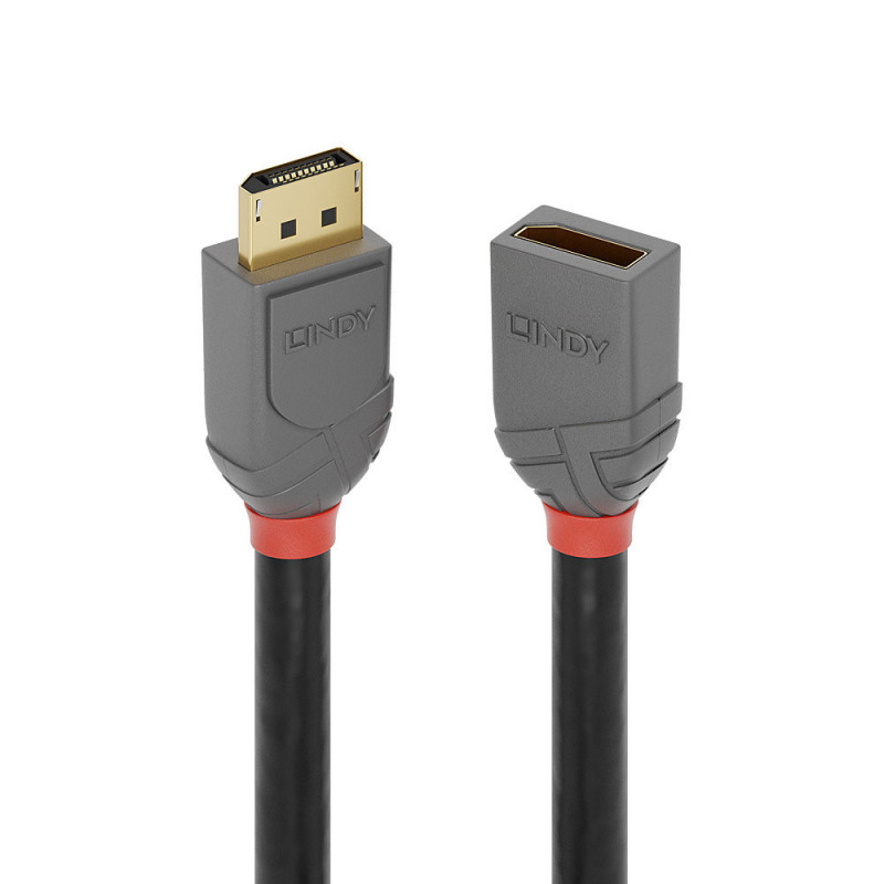 Lindy 36496 DisplayPort-kaapeli 1 m Musta