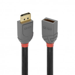 Lindy 36497 DisplayPort-kaapeli 2 m Musta