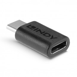 Lindy 41893 kaapelin sukupuolenvaihtaja USB 3.2 Type C Musta