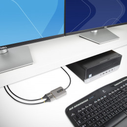 StarTech.com MST14DP122DP videokaapeli-adapteri 0,3 m DisplayPort 2 x DVI Harmaa