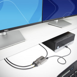 StarTech.com MST14DP122DP videokaapeli-adapteri 0,3 m DisplayPort 2 x DVI Harmaa