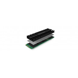 ICY BOX IB-M2HS-701 SSD-asema Jäähdytyslevy jäähdytin Musta 1 kpl