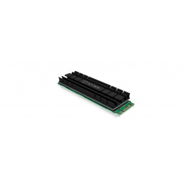 ICY BOX IB-M2HS-701 SSD-asema Jäähdytyslevy jäähdytin Musta 1 kpl