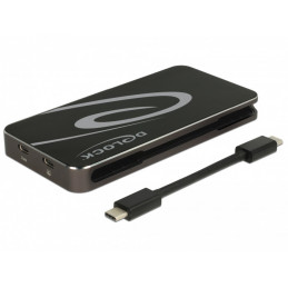 DeLOCK 87773 kannettavien tietokoneiden telakka ja porttitoistin Langallinen USB 3.2 Gen 1 (3.1 Gen 1) Type-C Musta
