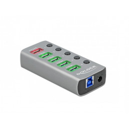 DeLOCK 63263 keskitin USB 3.2 Gen 1 (3.1 Gen 1) Type-B 5000 Mbit s Harmaa
