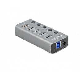 DeLOCK 63263 keskitin USB 3.2 Gen 1 (3.1 Gen 1) Type-B 5000 Mbit s Harmaa