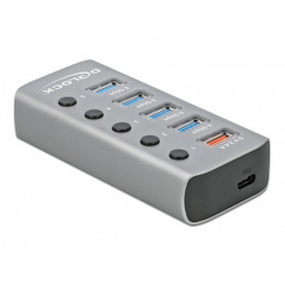 DeLOCK 63263 keskitin USB 3.2 Gen 1 (3.1 Gen 1) Type-B 5000 Mbit s Harmaa