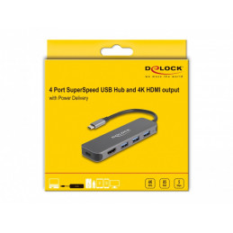 DeLOCK 64171 keskitin USB 3.2 Gen 1 (3.1 Gen 1) Type-C 5000 Mbit s Harmaa