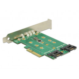 DeLOCK 89518 liitäntäkortti -sovitin Sisäinen M.2, SATA