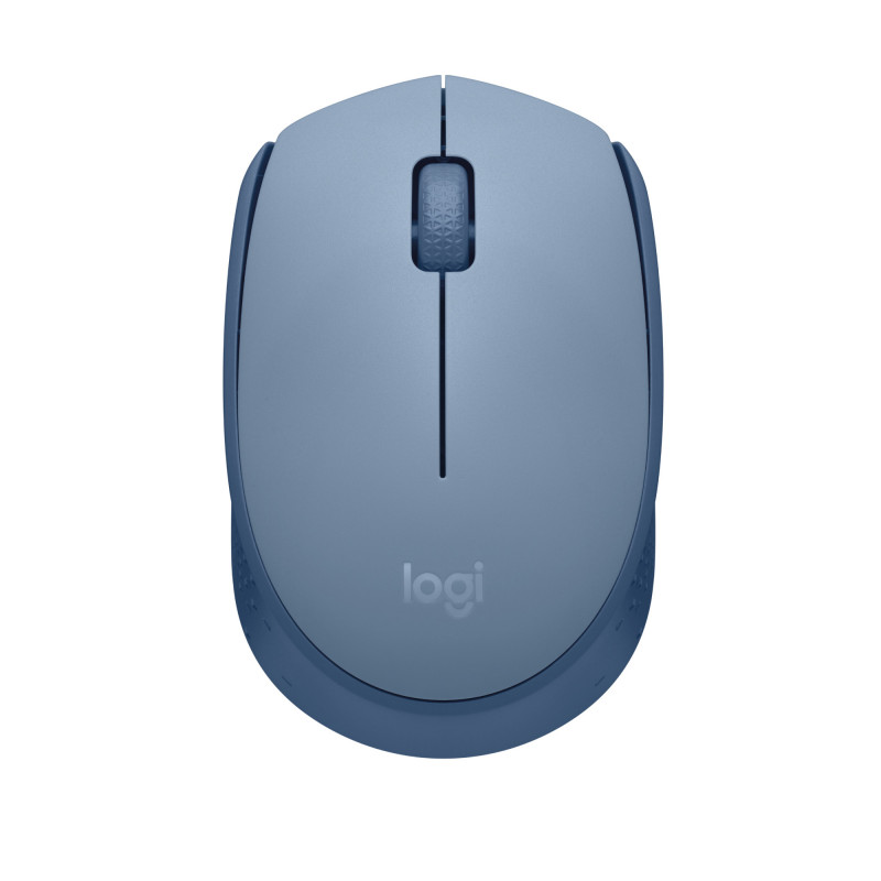 Logitech M171 hiiri Molempikätinen Langaton RF Optinen