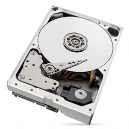 Seagate IronWolf Pro ST10000NT001 sisäinen kiintolevy 3.5" 10000 GB