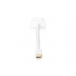 Digitus AK-340416-002-W videokaapeli-adapteri 0,2 m Mini DisplayPort HDMI-tyyppi A (vakio) Valkoinen