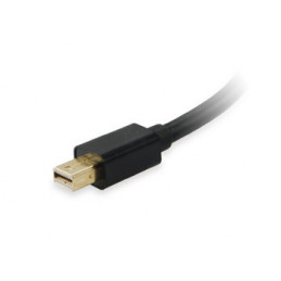 Equip 133433 videokaapeli-adapteri Mini DisplayPort DVI-I Musta