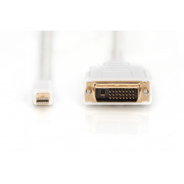 Digitus mini DP - DVI, 2m Mini DisplayPort DVI-D Valkoinen