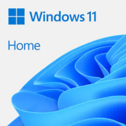 Microsoft Windows 11 Home 1 lisenssi(t)