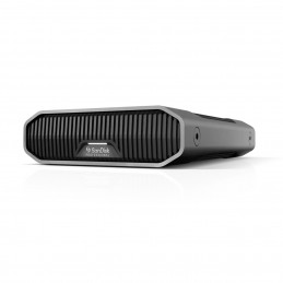 SanDisk G-DRIVE ulkoinen kovalevy 22000 GB Ruostumaton teräs