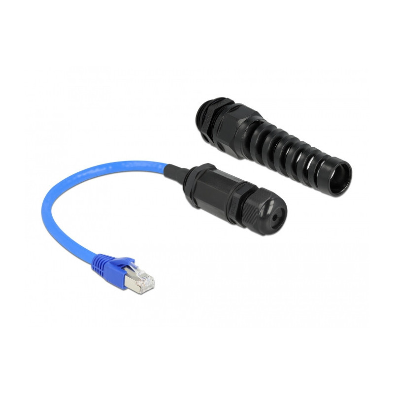 DeLOCK 66809 verkkokaapeli Musta, Sininen 0,25 m Cat6 SF UTP (S-FTP)