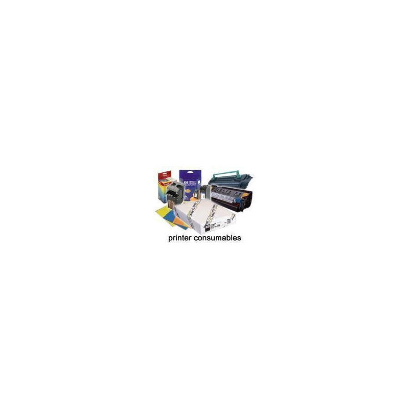 Epson Enhanced Adhesive Synthetic Paper -rulla, 44" x 30,5 m, 135 g m²